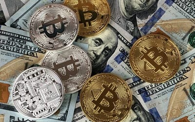 Crypto: Currency or Investment?